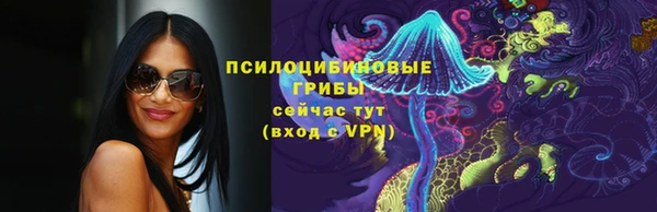 индика Покровск