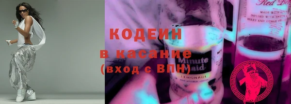 индика Покровск