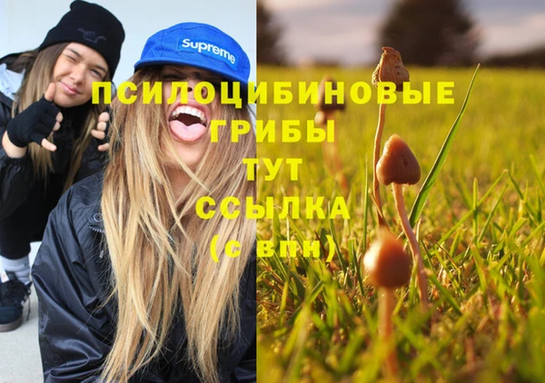 спиды Алексеевка